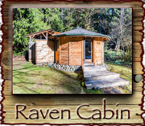 Raven Cabin Stormking Spa Mt. Rainier